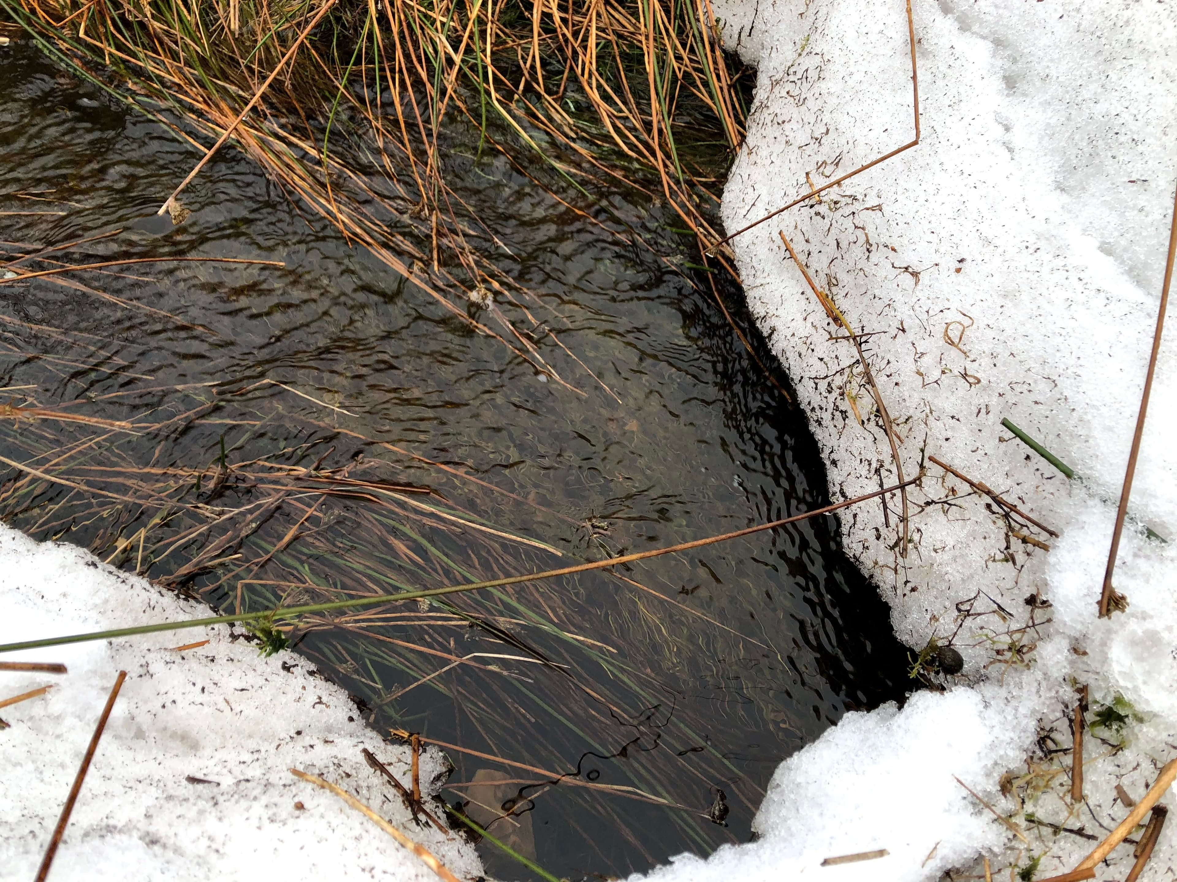 The hole Jamme fell in.